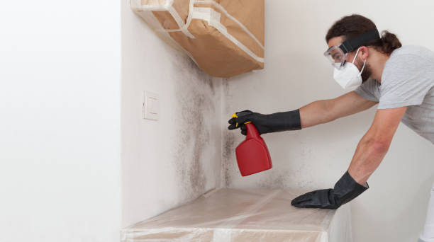 Professional Basement Mold Removal technician working in West Friendship, MD