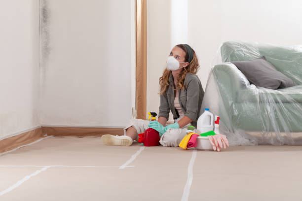 Reliable Basement Mold Removal contractor in West Friendship, MD by WQB Mold Removal
